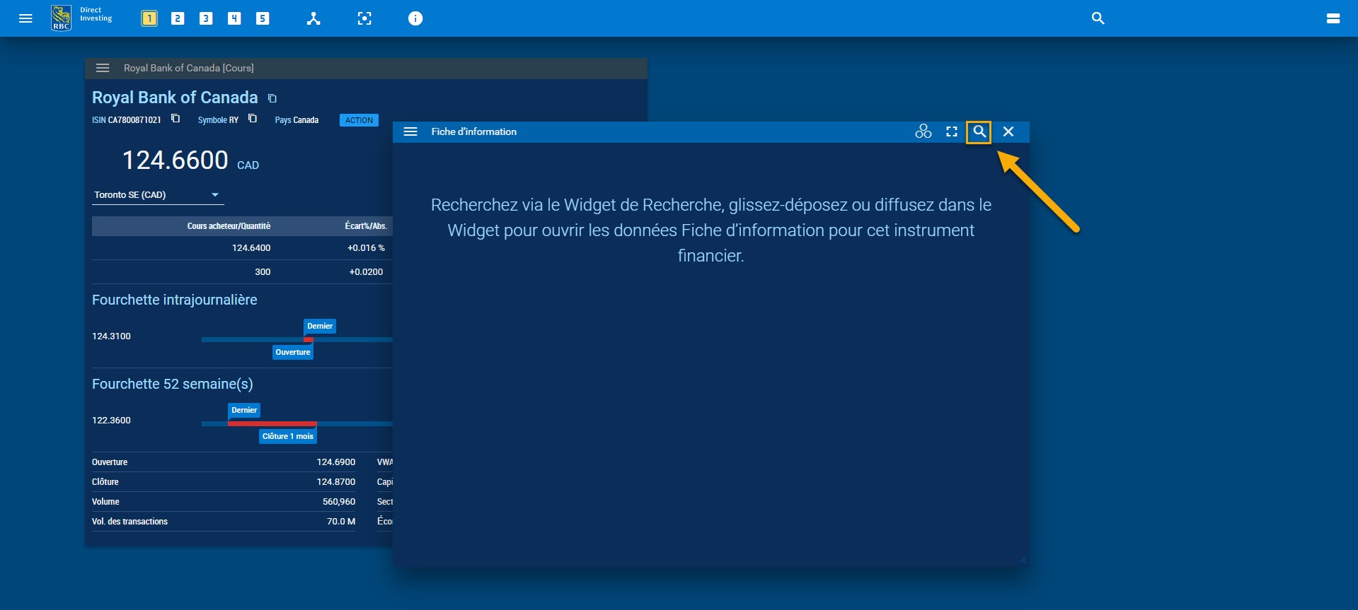 Widget fiche d’information vide